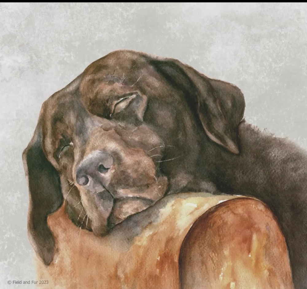 Chocolate Labrador Glass Worktop Saver