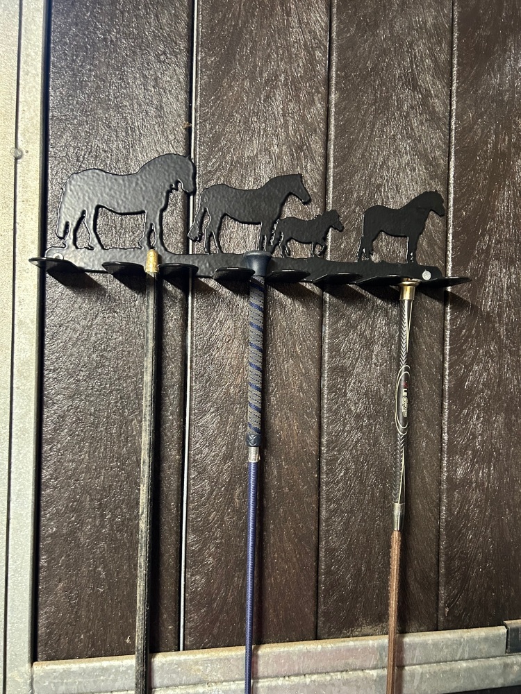 Ponies Whip Rack