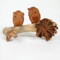 Hand Carved Jempinis wooden 2 Owls on Chinaberry Parasite Wood