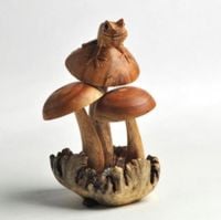 Hand Carved Jempinis wooden Frog on Mushrooms Chinaberry Parasite Wood