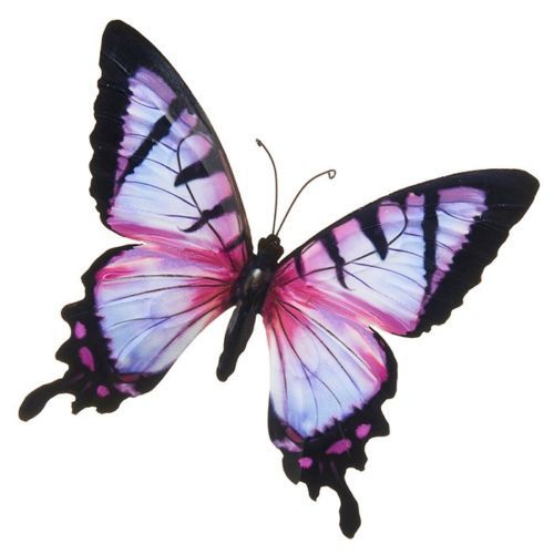 Pink Colourful Butterfly Wall Art