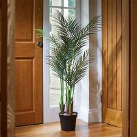 Phoenix Palm Tree Faux Houseplant 