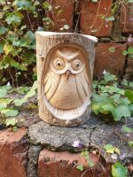 Hand Carved Owl in Tree Trunk