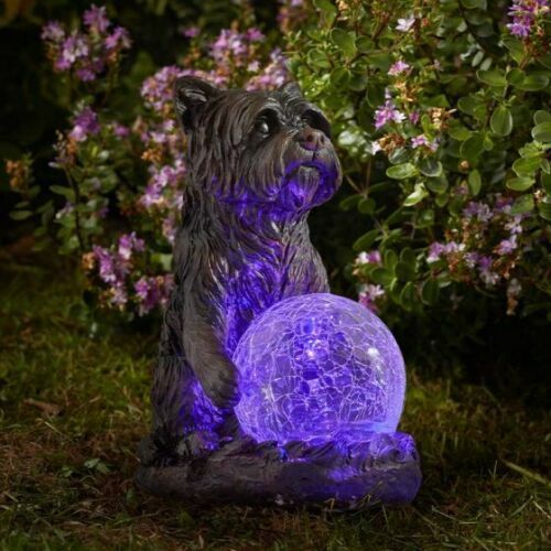 Mystic Dog Light Up Garden Ornament Solar Powered Gazing Ball Multicolored 