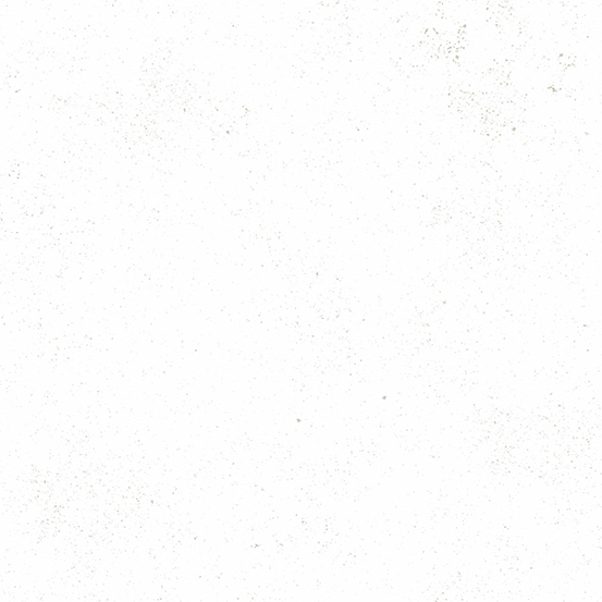 Spectrastatic Dust Speckle Blender Giucy Giuce Cotton Fabric