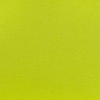 Tula Pink Designer Solids Mojito Acid Green Yellow Lime Chartreuse Plain Blender Coordinate Cotton Fabric