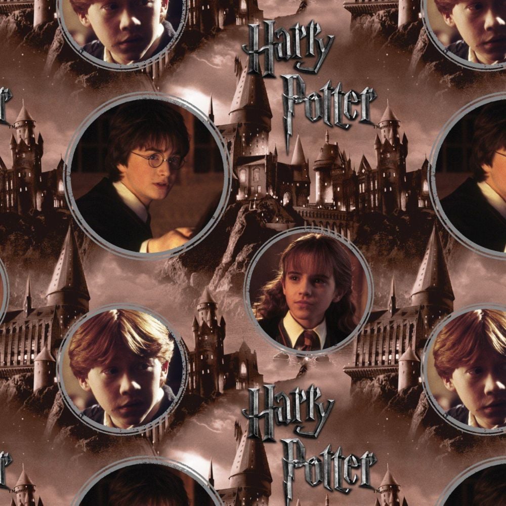 DIGITAL PRINT Harry Potter Hogwarts and Characters Ron Weasley Hermione Gra