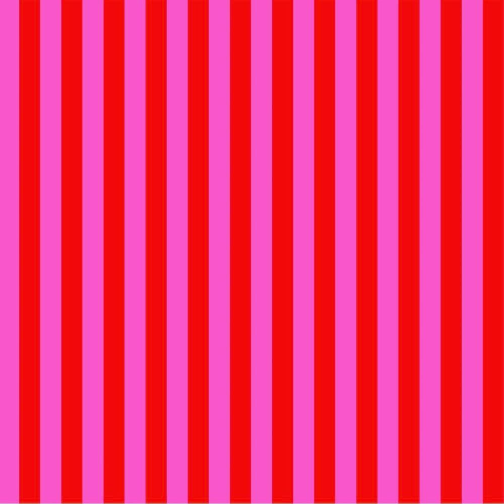 Tula Pink True Colors Stripes Peony Tent Stripe Geometric Blender Cotton Fabric