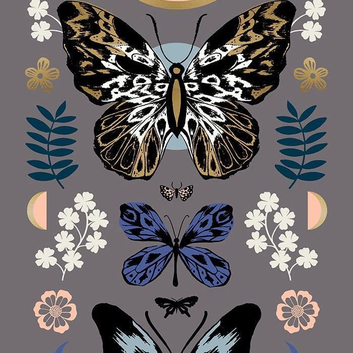 Tiger Fly Mother Slate Grey Butterfly 24