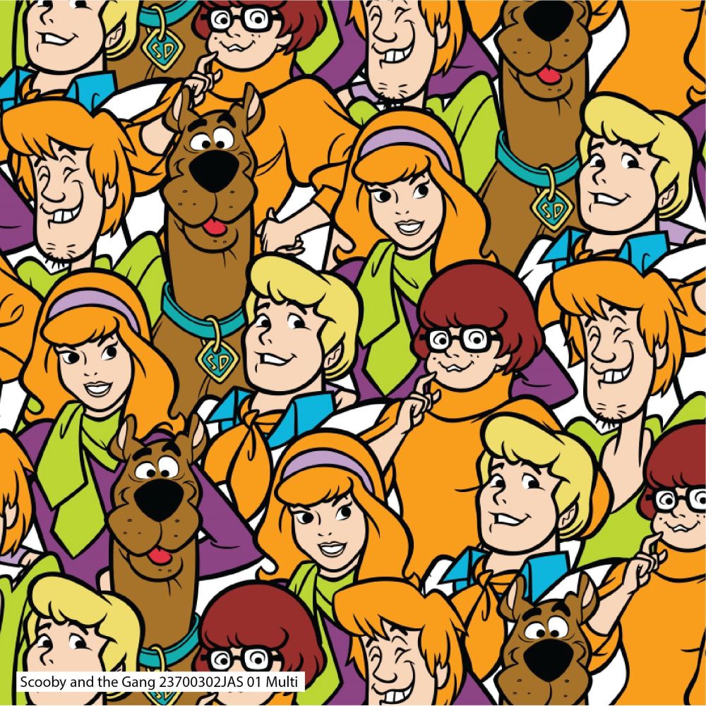 Scooby Doo Packed Shaggy Fred Daphne Velma Hannah-Barbera Classic Cartoon C