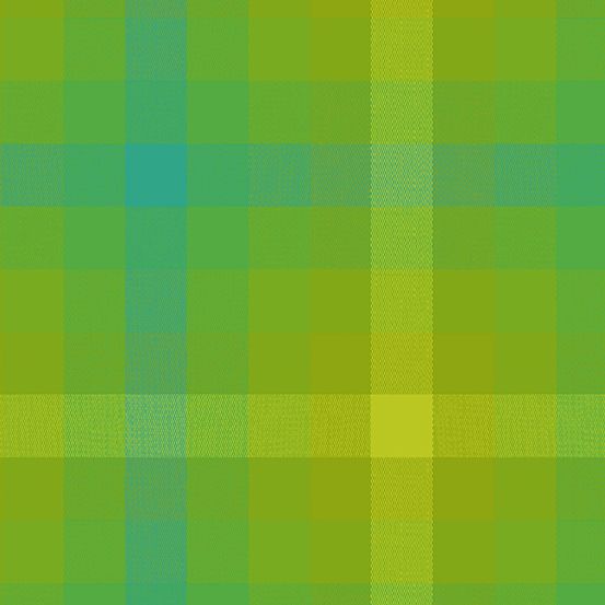 Alison Glass Kaleidoscope Stripes and Plaids Lichen Plaid Shot Woven WV9541