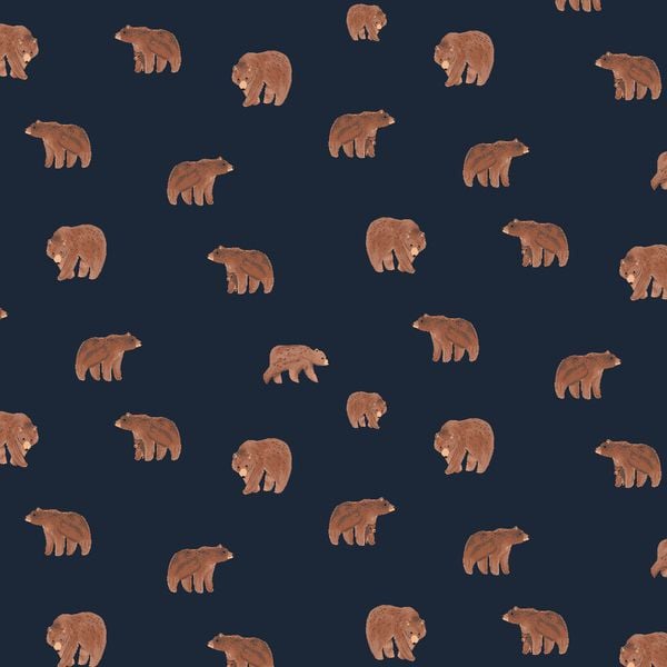 Brave Enough to Dream in Patriot Bear Tiny Grizzly Brown Bears Dear Stella