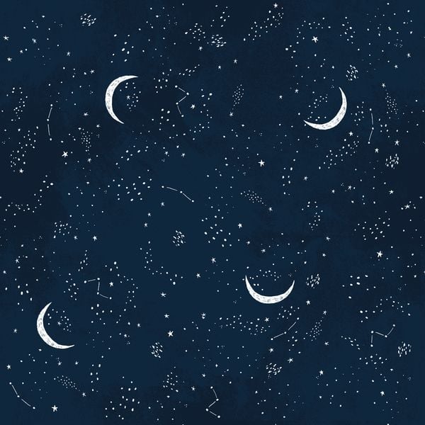 Brave Enough to Dream Crescent Moon Multi Constellations Sky Star Night Ski