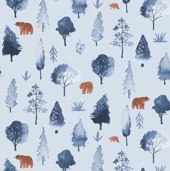 Brave Enough to Dream Walkabout in Misty Bear Tiny Grizzly Brown Bears Dear