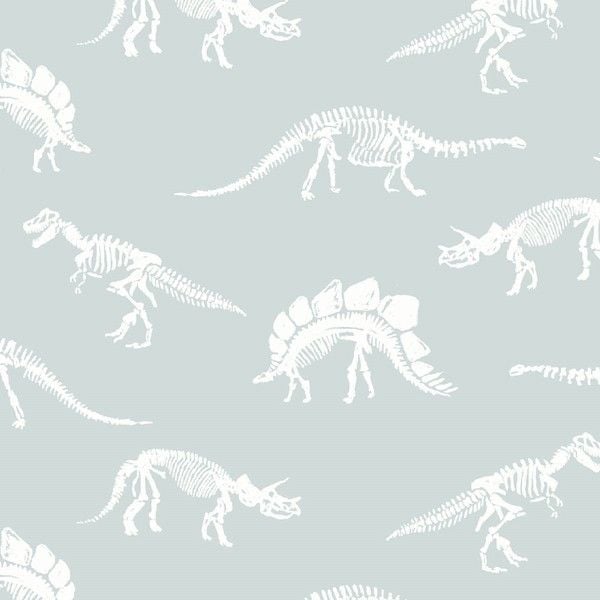 You Rock Fossils In Splash Dinosaur Bones Fossil Skeleton Dear Stella Cotto