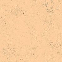 Spectrastatic II Light Peach A9248-OL Speckle Blender Giucy Giuce Cotton Fabric