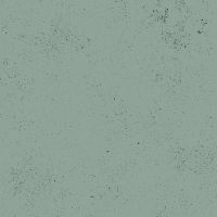 Spectrastatic II Perfect Gray A9248-C1 Speckle Blender Giucy Giuce Cotton Fabric