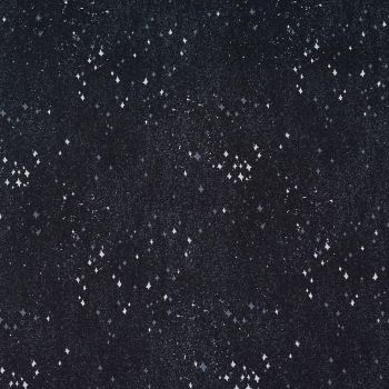 Art Gallery Fabrics Luna and Laurel Capsules Stardust in Space Night Sky Galaxy Nursery Cotton Fabric
