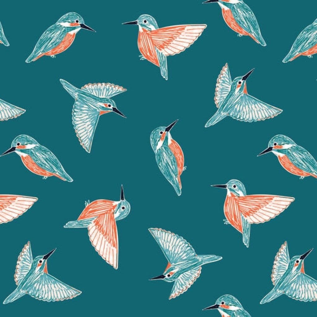 Rivelin Kingfisher Bird British Wildlife Dashwood Bethan Janine Birds Cotto