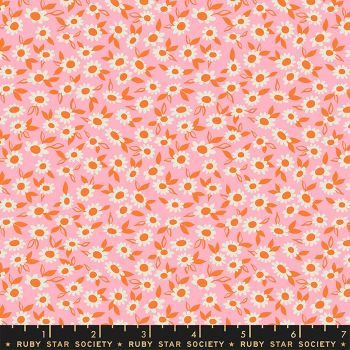 Stay Gold Morning Blend Merry Daisy Flower Ruby Star Society Melody Miller Cotton Fabric RS0023 13