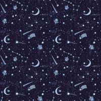 Lantern Light by Rae Ritchie Night Sky Shooting Stars Crescent Moons Constellations Fireflies Dear Stella Cotton Fabric