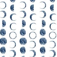 Lantern Light by Rae Ritchie Moons in White Phases Full Moon Total Eclipse Dear Stella Cotton Fabric