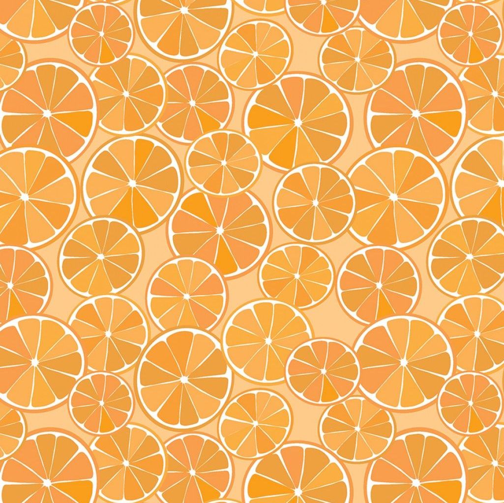 Grove Slices Orange Citrus Fruit Cotton Fabric