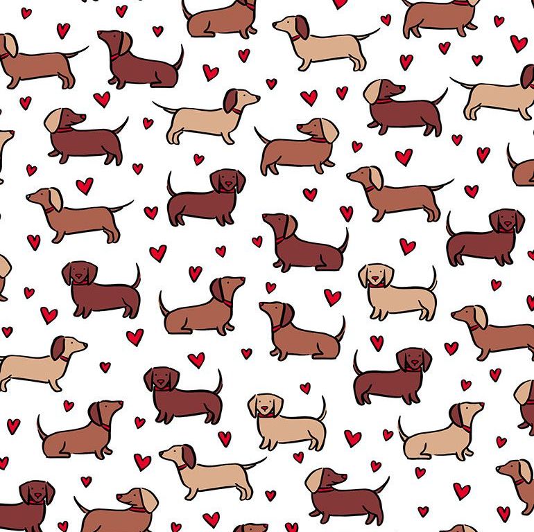 Dachshund Sausage Dogs Love Hearts Wiener Dog White Cotton Fabric