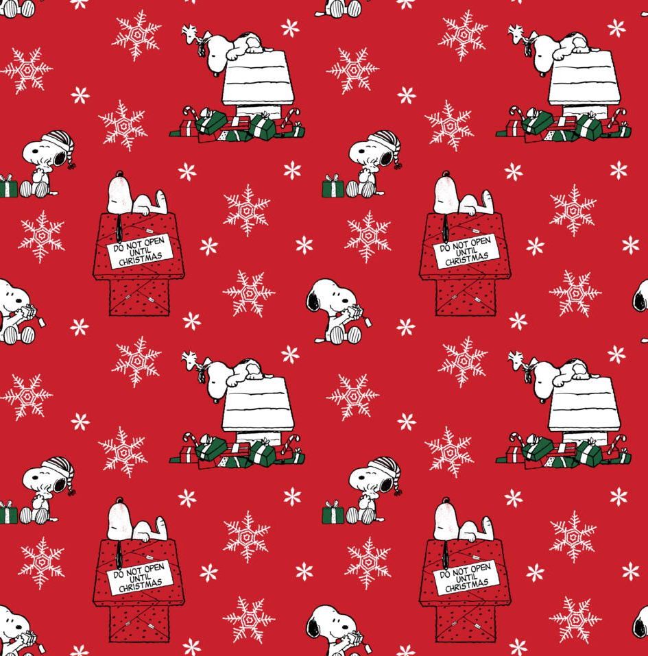 Snoopy and Woodstock Do Not Open Until Christmas Presents Gifts Snowflakes 