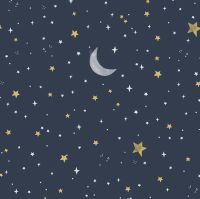 Koala Me Crazy Night Sky Midnight Crescent Moon Stars Dear Stella Cotton Fabric