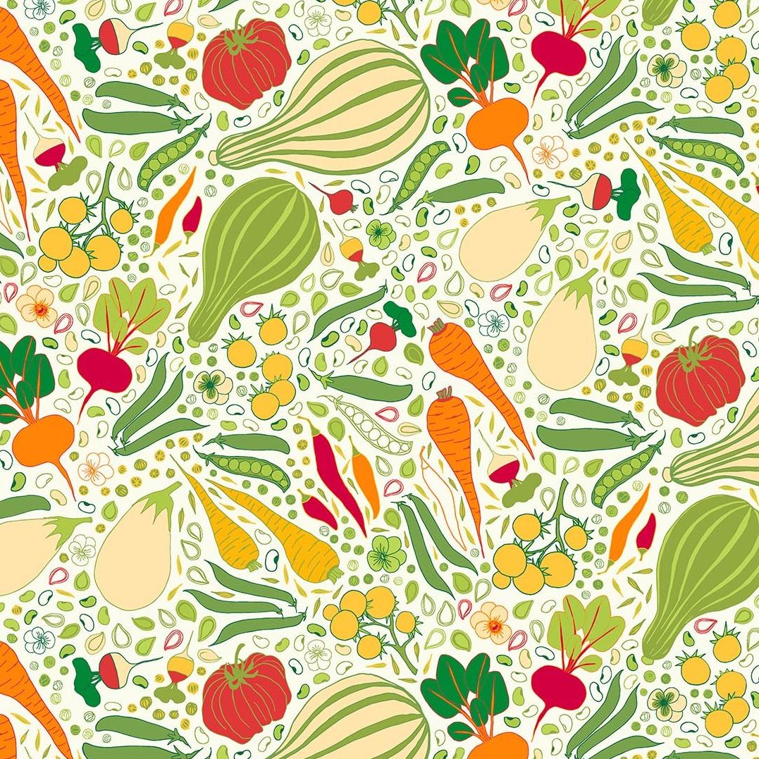 Figo Grow Fruit and Vegetables Carrots Tomatoes Marrows Peas Beans Seeds Co