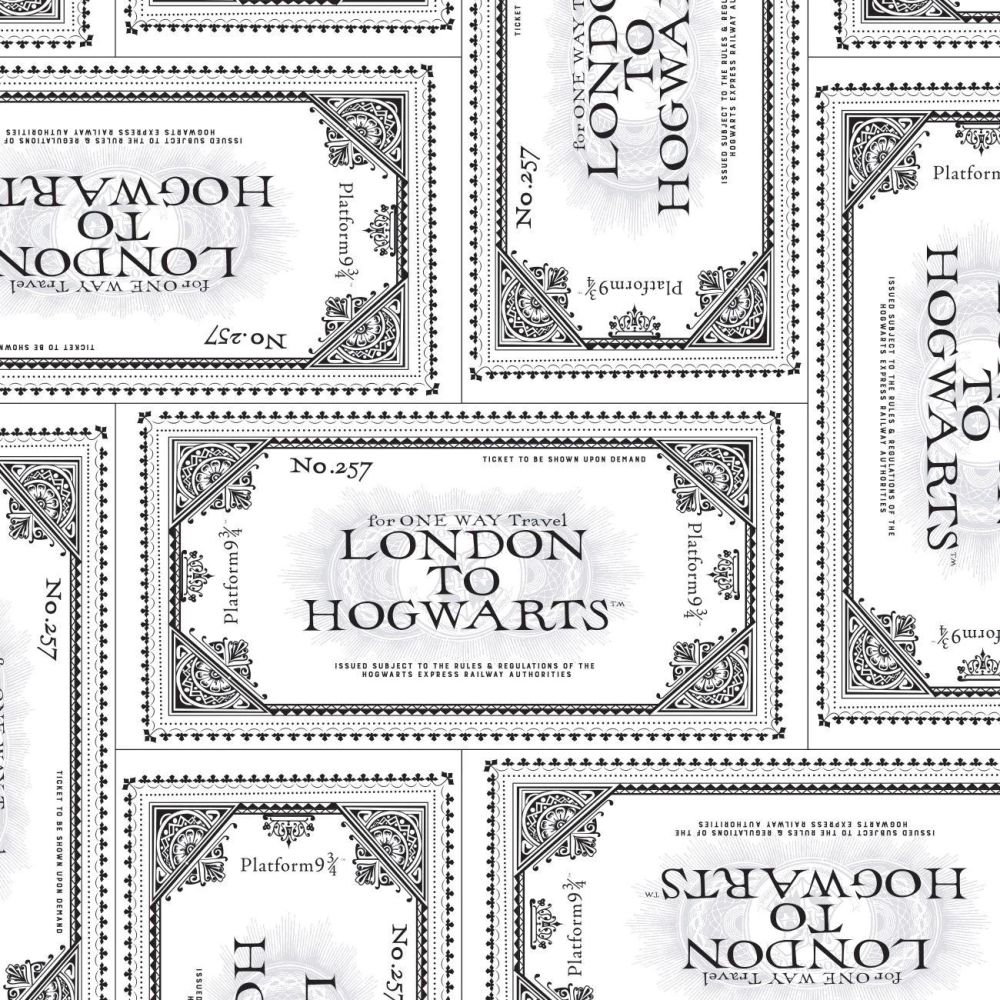 Harry Potter Ticket to Hogwarts White Platform 9 3/4 Magical Wizard Witch C