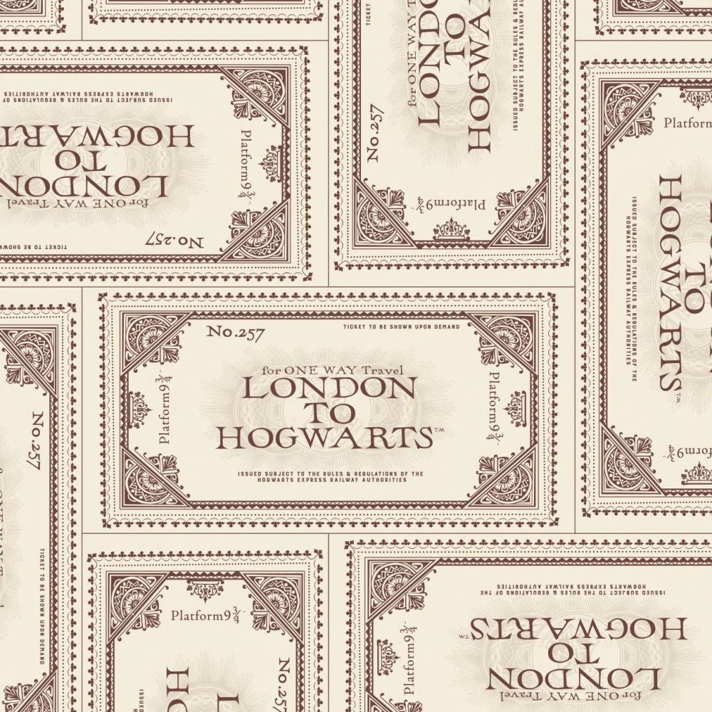 Harry Potter Ticket to Hogwarts Cream Platform 9 3/4 Magical Wizard Witch C