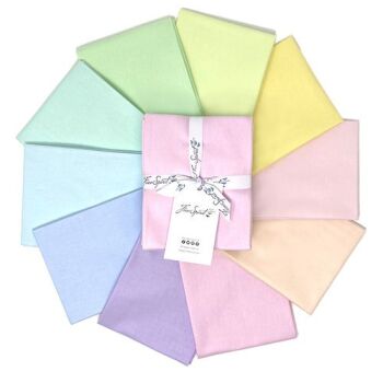 Tula Pink Solids Unicorn Poop Rainbow Colours 11 Fat Quarter Bundle Cotton Fabric - FreeSpirit Branded