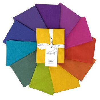 Tula Pink Solids Dragon's Breath Rainbow Colours 11 Fat Quarter Bundle Cotton Fabric - FreeSpirit Branded