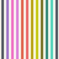 PRE-ORDER AUGUST 2024 Tula Pink Tabby Road Deja Vu Disco Stripe Prism Cotton Fabric