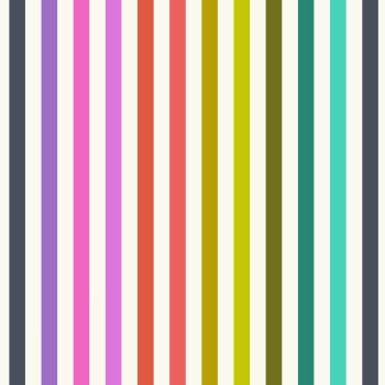 PRE-ORDER AUGUST 2024 Tula Pink Tabby Road Deja Vu Disco Stripe Prism Cotton Fabric