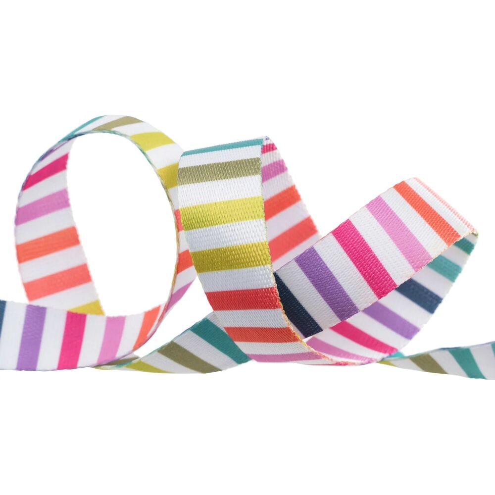 Tula Pink Webbing - 1" Disco Stripe Tabby Road Deja Vu by Renaissance Ribbons - 3 yards