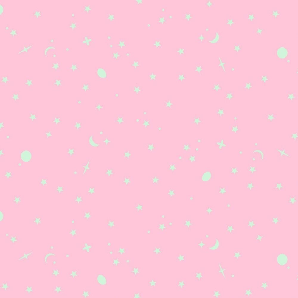 PRE-ORDER TC25 MAY 2025 Tula Pink True Colors 2025 Space Sprinkles Piglet Cotton Fabric