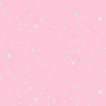 PRE-ORDER TC25 MAY 2025 Tula Pink True Colors 2025 Space Sprinkles Piglet Cotton Fabric