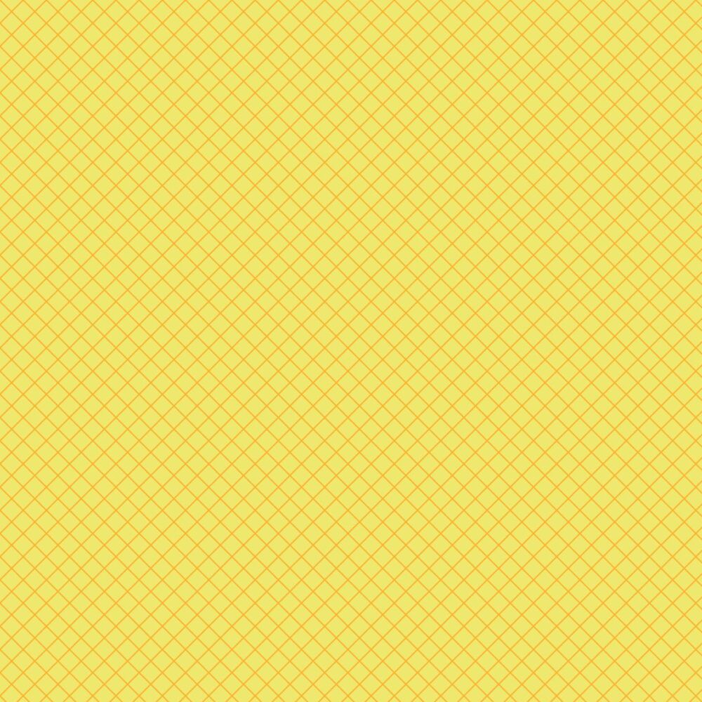 Tula Pink True Colors 2025 On the Grid Highlighter Cotton Fabric