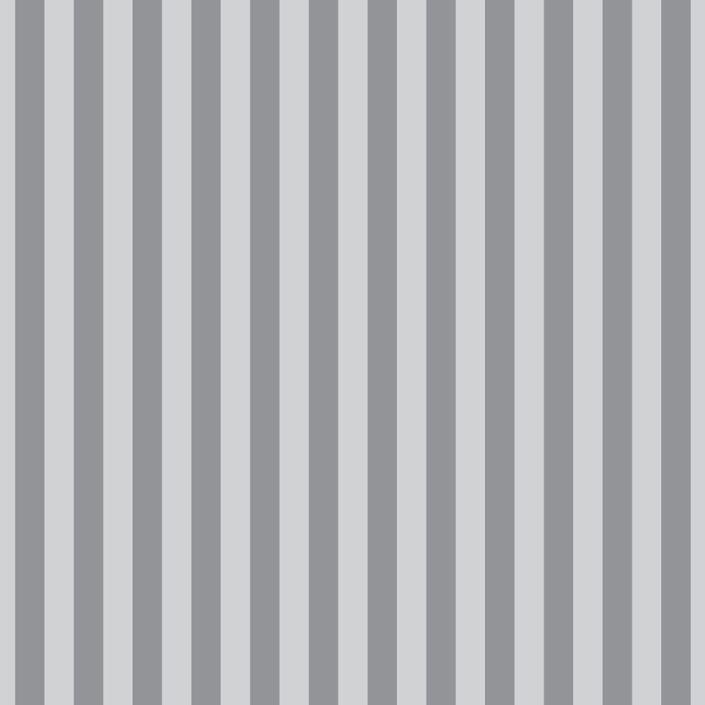 PRE-ORDER GW NOV 2025 Tula Pink Graywork True Colors Tent Stripe Fog Cotton Fabric