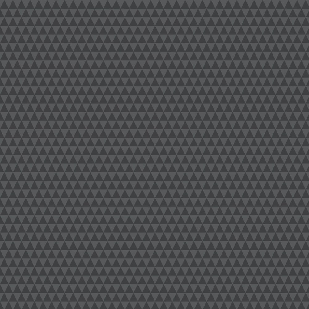 Tula Pink Graywork True Colors Kinda Shady Carbon Cotton Fabric