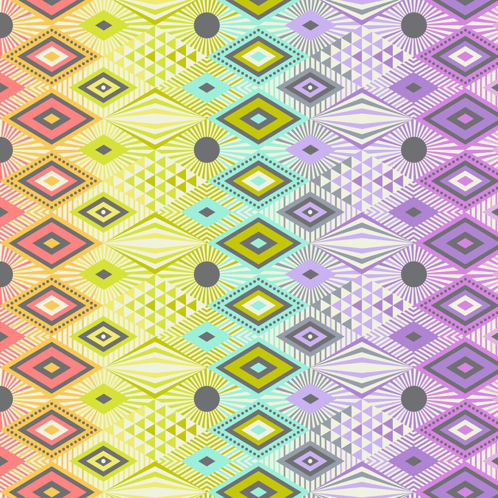 DESTASH MINKY 1.3m - Tula Pink Tabby Road Deja Vu Disco Lucy Prism Digital Print Minky