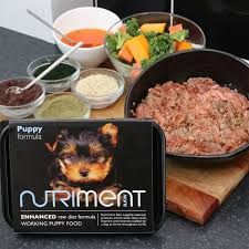 Raw Dog Food   **Collection only**