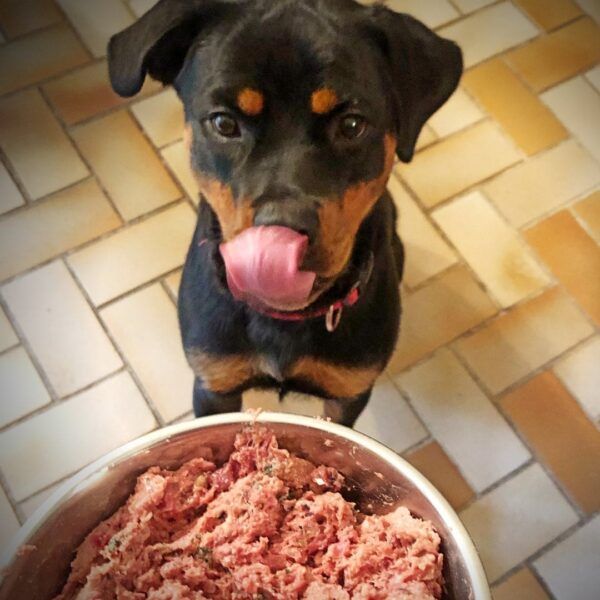 Raw Dog Food   **Collection only**