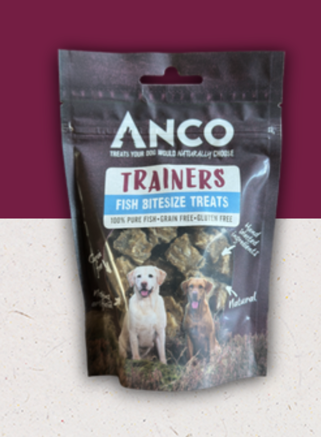 Anco Trainers Fish 65g