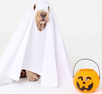 Character Dogs Ghost Costume