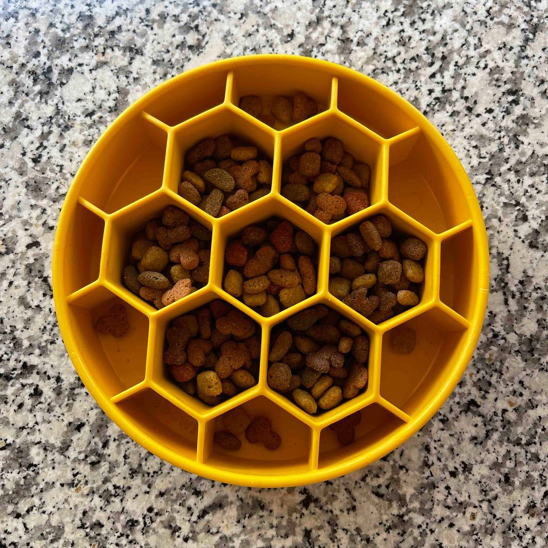 SodaPup Honeycomb Design eBowl Enrichment Slow Feeder Bowl for Dogs