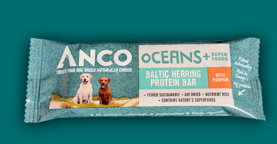 Anco Oceans+ Protein Bar with Pumpkin 25g